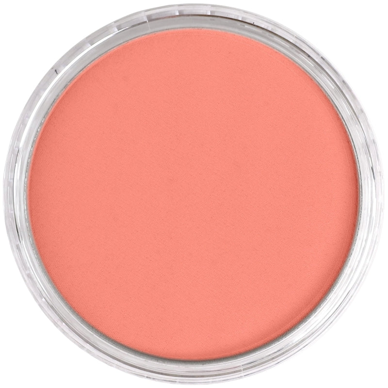 PanPastel - Vermilion Medium 310.6