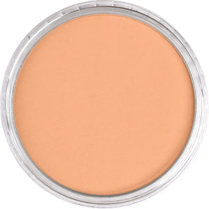 PanPastel - Burnt Sienna Light 740.7