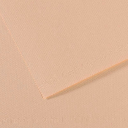 Canson Mi-Teintes Paper 19" x 25" - Eggshell #112