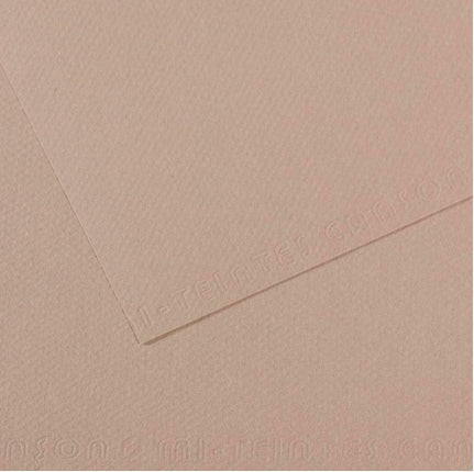 Canson Mi-Teintes Paper 19" x 25" - Flannel Gray #122