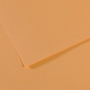 Canson Mi-Teintes Paper 19" x 25" - Oyster #340