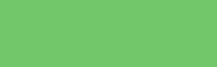 Daler Rowney Graduate Acrylic - 500 ml bottle - Leaf Green