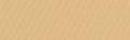 Canson Mi-Teintes Paper 19" x 25" - Cream #407
