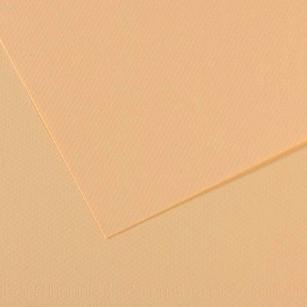 Canson Mi-Teintes Paper 19" x 25" - Cream #407