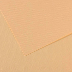 Canson Mi-Teintes Paper 19" x 25" - Cream #407