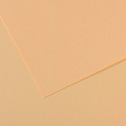 Canson Mi-Teintes Paper 19" x 25" - Cream #407