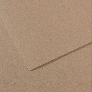Canson Mi-Teintes Paper 19" x 25" - Felt Gray #429