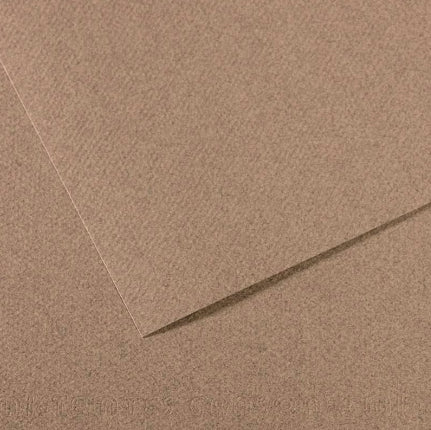 Canson Mi-Teintes Paper 19" x 25" - Steel Gray #431