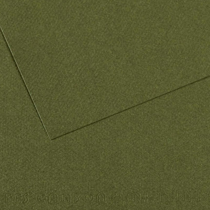 Canson Mi-Teintes Paper 19" x 25" - Ivy #448