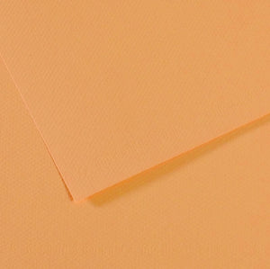 Canson Mi-Teintes Paper 19" x 25" - Champagne #470