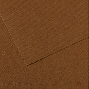 Canson Mi-Teintes Paper 19" x 25" - Tobacco #501
