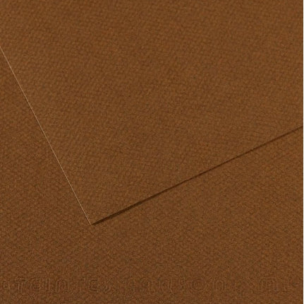 Canson Mi-Teintes Paper 19" x 25" - Tobacco #501