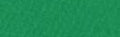 Canson Mi-Teintes Paper 19" x 25" - Viridian #575