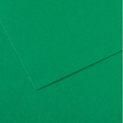 Canson Mi-Teintes Paper 19" x 25" - Viridian #575