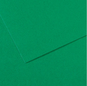 Canson Mi-Teintes Paper 19" x 25" - Viridian #575