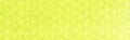 PanPastel - Bright Yellow Green 680.5