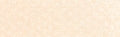 PanPastel - Burnt Sienna Tint 740.8