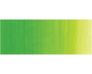 Holbein DUO Aqua Oil - 40 ml tube - Cadmium Green Light Hue