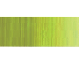 Holbein DUO Aqua Oil - 40 ml tube - Greenish Yellow