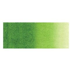 Holbein Artists' Watercolour - 15 ml tube - Sap Green