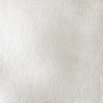 Liquitex Heavy Body Acrylic - 2 oz. tube - Iridescent White