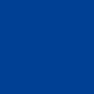 Liquitex Paint Marker - Fine - Cobalt Blue Hue