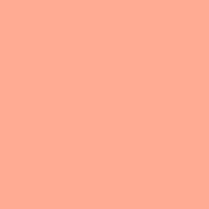 Liquitex Paint Marker - Fine - Light Pink