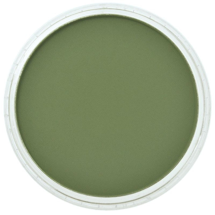 PanPastel - Chromium Oxide Green Shade 660.3