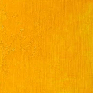 Winsor & Newton Winton Oil Colour - 37 ml tube - Cadmium Yellow Medium