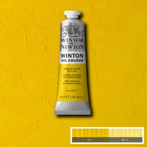 Winsor & Newton Winton Oil Colour - 37 ml tube - Cadmium Yellow Pale Hue