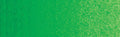 Winsor & Newton Artists' Oil Colour - 37 ml tube - Permanent Green