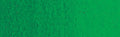 Winsor & Newton Artists' Oil Colour - 37 ml tube - Winsor Green (Yellow Shade)