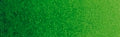 Winsor & Newton Professional Watercolour Half Pan - Hooker's Green