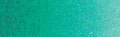 Winsor & Newton Professional Watercolour Half Pan - Winsor Green (Blue Shade)