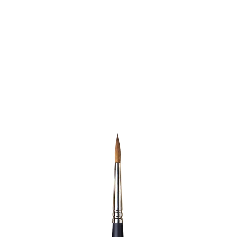 Winsor & Newton Professional Water Colour Sable Brush - Round #5