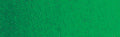 Winsor & Newton Artisan Water Mixable Oil Colour - 37 ml tube - Phthalo Green (Blue Shade)
