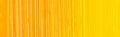 Holbein DUO Aqua Oil - 40 ml tube - Benzidine Yellow