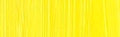 Holbein DUO Aqua Oil - 40 ml tube - Cadmium Yellow Lemon