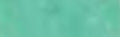 Sennelier Extra Soft Pastel - Cinereous Green - 349