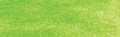 Derwent Studio Colour Pencil - May Green