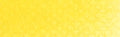 PanPastel - Diarylide Yellow 250.5