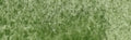 Daniel Smith Extra Fine Watercolour - 15 ml tube - Chromium Green Oxide