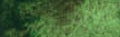 Daniel Smith Extra Fine Watercolour - 15 ml tube - Green Apatite Genuine