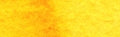 Daniel Smith Extra Fine Watercolour - 15 ml tube - New Gamboge