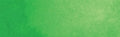 Daniel Smith Extra Fine Watercolour - 15 ml tube - Spring Green