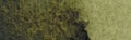 Daniel Smith Extra Fine Watercolour - 15 ml tube - Undersea Green