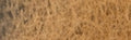 Daniel Smith Extra Fine Watercolour - 15 ml tube - Yavapai Genuine