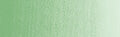 Winsor & Newton Griffin Alkyd Colour - 37 ml tube - Terre Verte