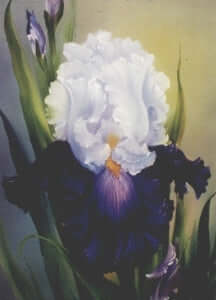 Bob Ross Floral Painting Packet - Iris
