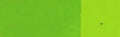 Holbein Artists' Oil - 40 ml tube - Permanent Green Light